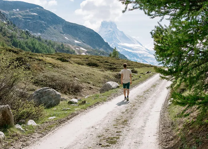 Boutique Albana Real - Restaurants & Hotel 4*